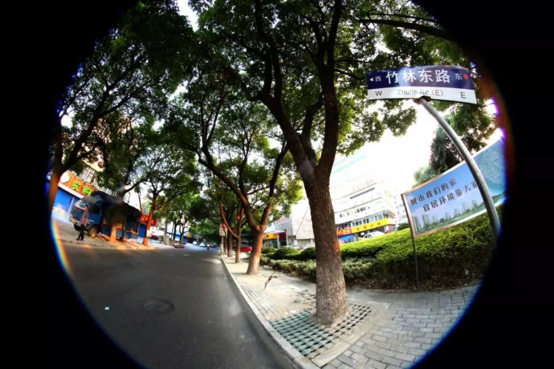 胡勇奋楫扬帆打造精致精彩精品新红梅