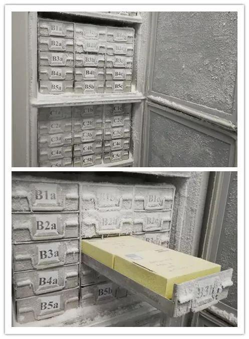 现保藏中心的菌种资源可对外进行转让,也可以共同研究开发,欢迎有识之