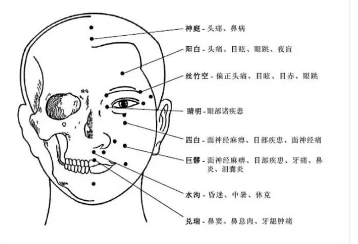 超全人体穴位图谱(附经络循行动图)_治疗
