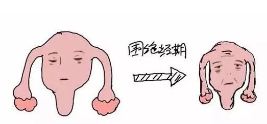 女性绝经前身体有哪些异常情况?_症状