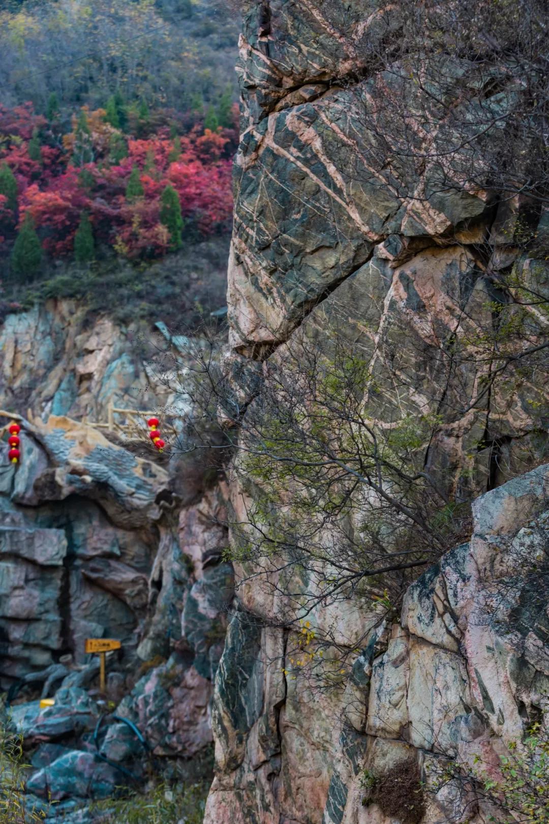 沿着景区上山路,有一段奇石路段,龙门山也属于泰山余脉,泰山石的纹理