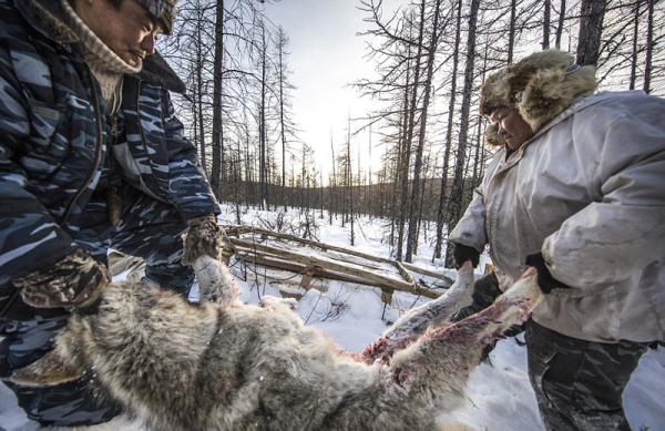 此外,我们当地的猎人也是相当富有的.