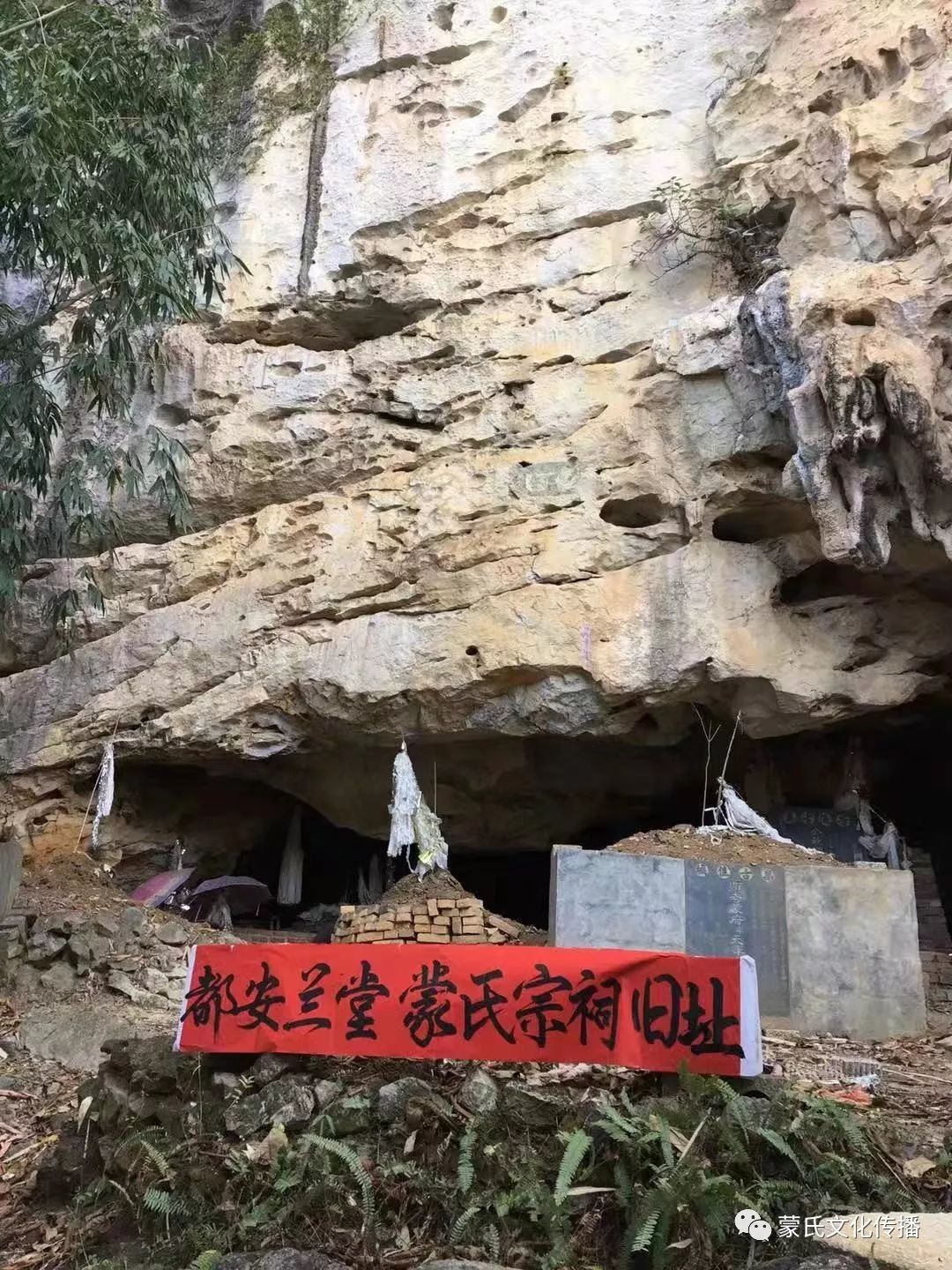 67蒙仁会长和宾阳蒙氏宗族理事会领导在马山县和都安县考察纪实