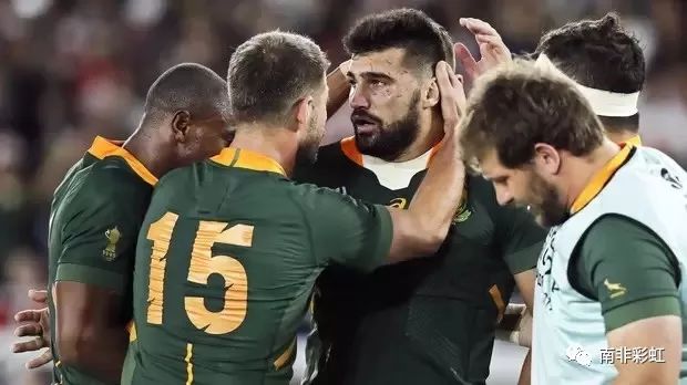 南非跳羚队战胜威尔士 昂首挺进本届橄榄球世界杯决赛