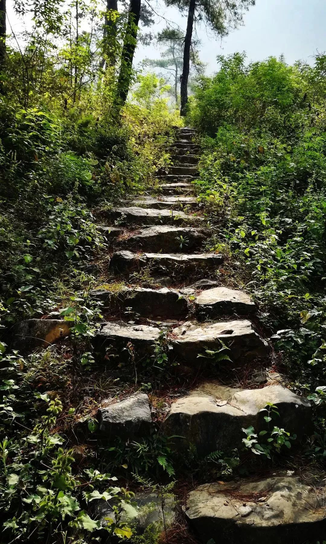 古道上每一块青石板也是通往广州的驿站之一连接湘粤的重要交通要道