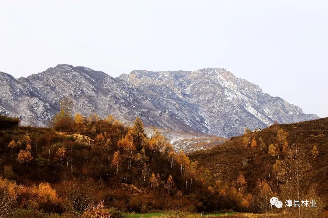 漳县分水岭的金秋邂逅2019年的第一场雪