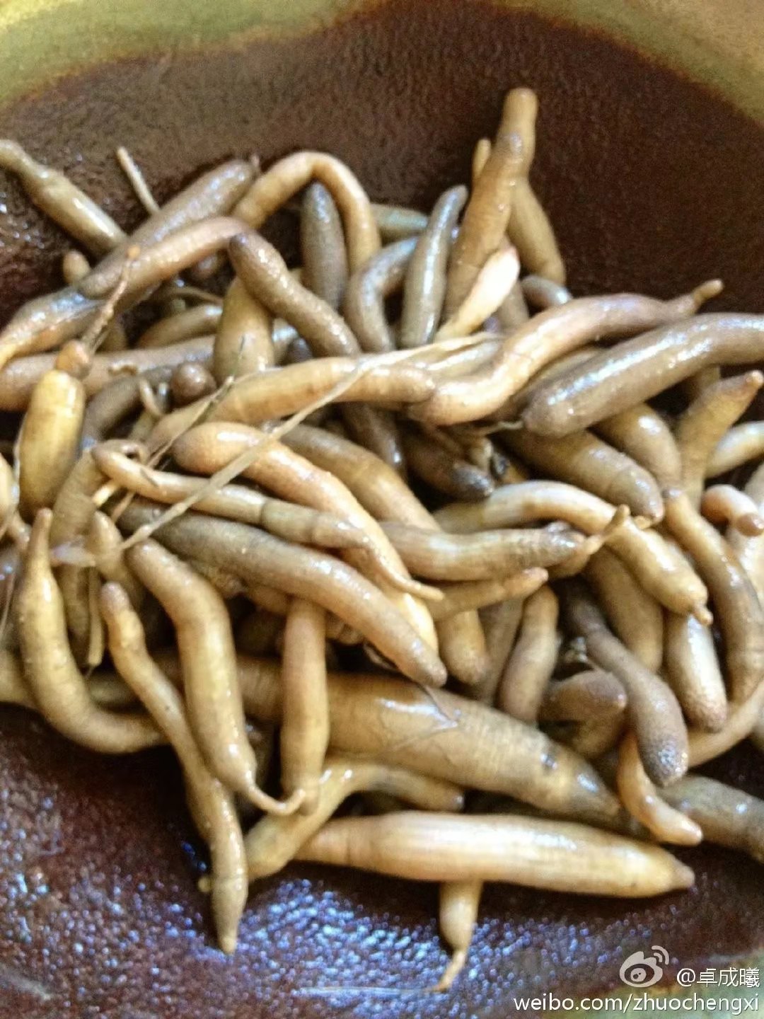 卓成曦土笋冻的美味可不是每个人都敢尝试