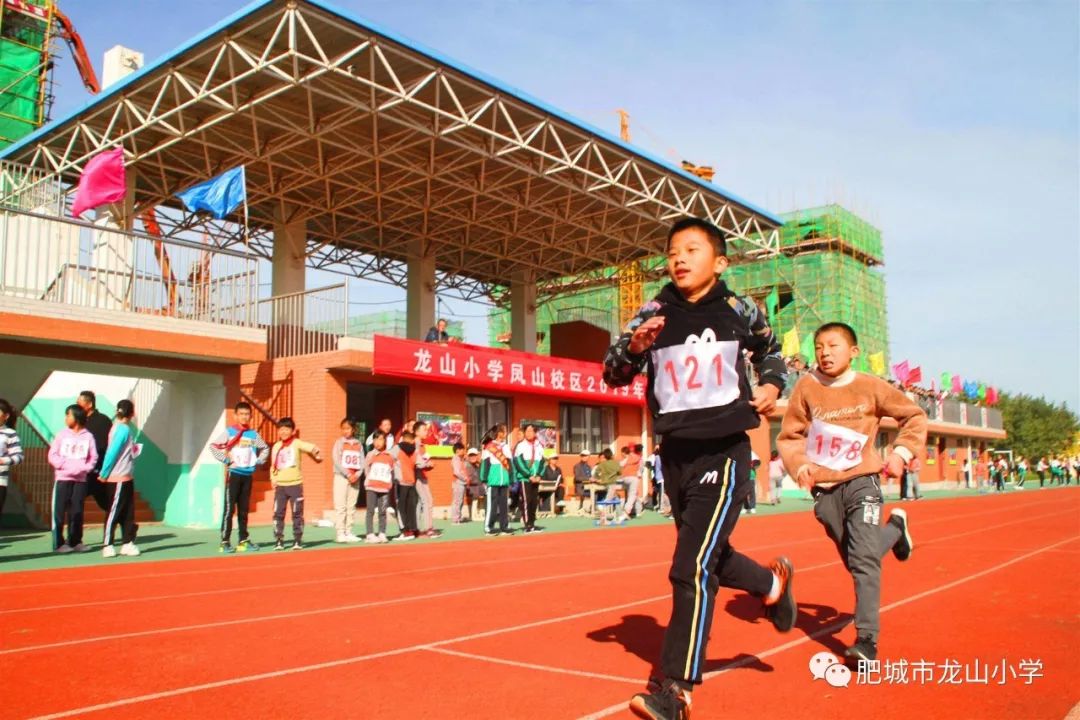 肥城市凤山学校简介图片