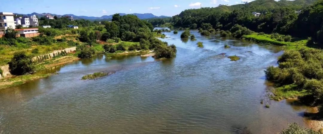 我默对着青山,青山则无语;临江沐风,江风则无言.