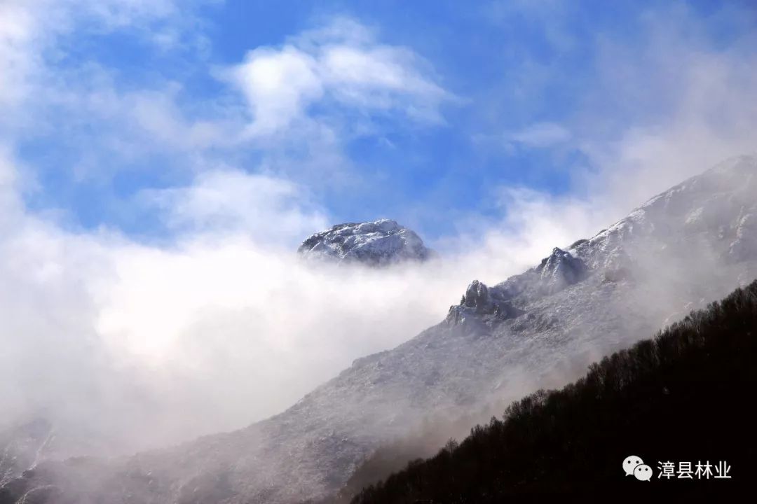 漳县分水岭的金秋邂逅2019年的第一场雪