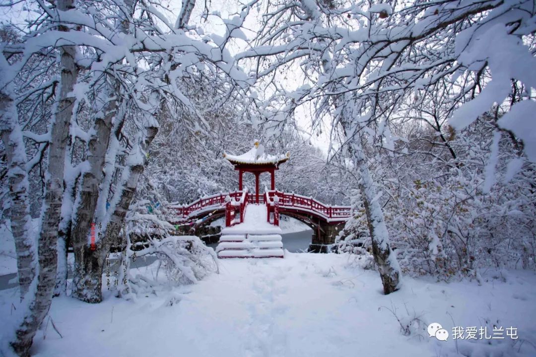 雪景此文用· 秒,转发只需1秒呦~本篇图片,文字均为原创我爱扎兰屯