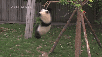 滚滚滚图片gif,滚滚滚滚滚_大山谷图库