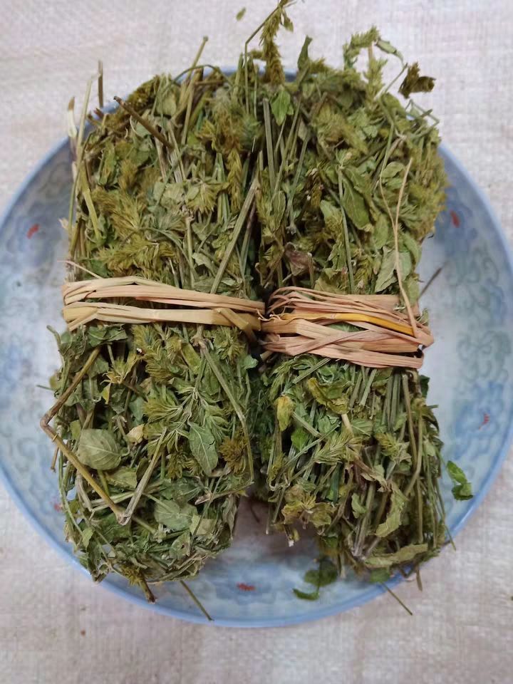 潮汕这种路边不起眼的野草,药用价值竟然这么高?
