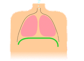 促进肺康复一起来做呼吸功能锻炼