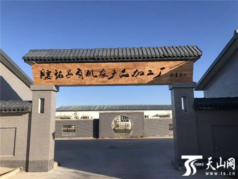 硕果累累家园美奇台县腰站子村新农村建设引达人称赞