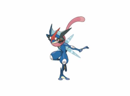 精灵宝可梦图鉴658实力和外貌都很圈粉的精灵甲贺忍蛙