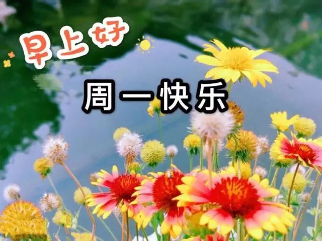 新的一週開始了,秋天早上好祝福語圖片帶字 天氣轉涼早安問候祝福語