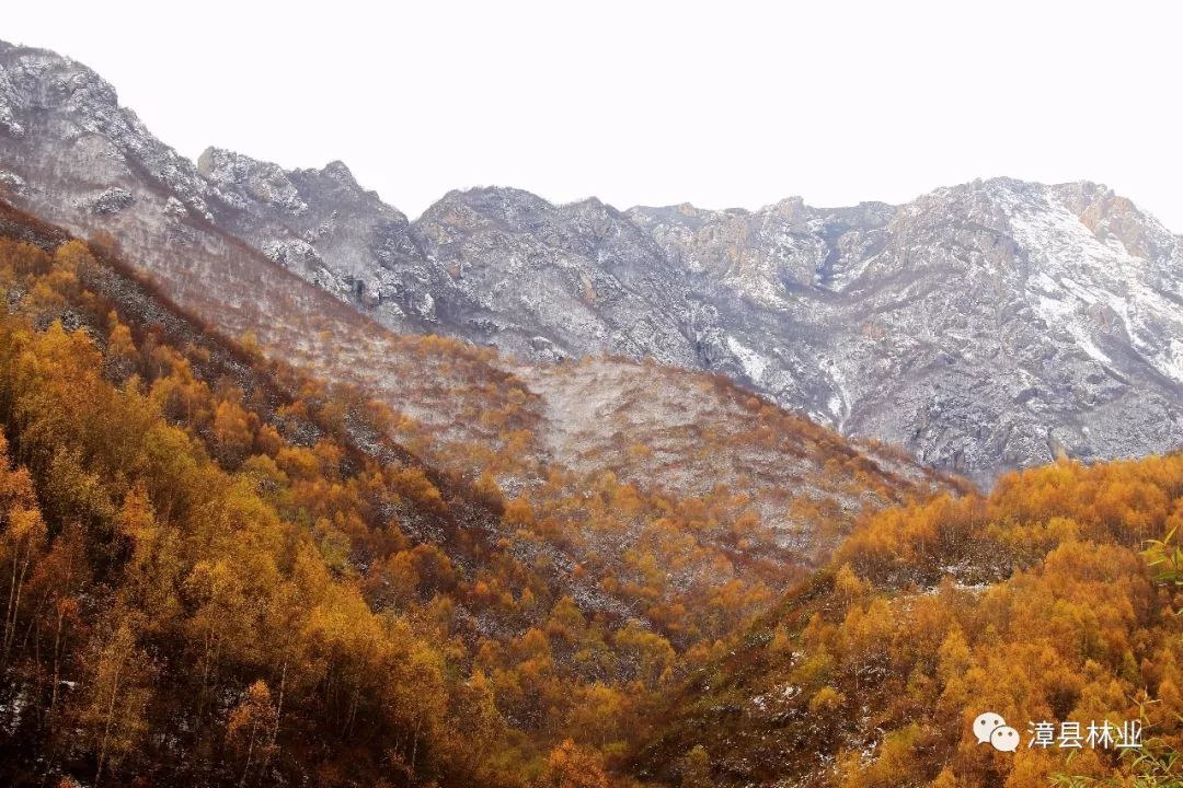 漳县分水岭的金秋邂逅2019年的第一场雪