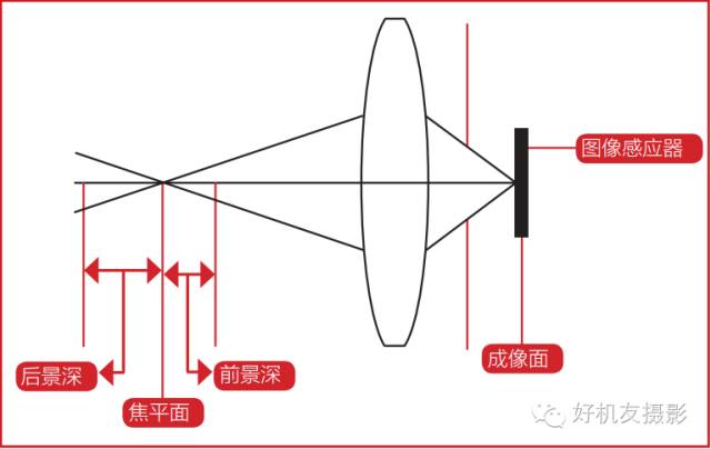 摄影基础掌握景深才能掌握虚实8点了解景深