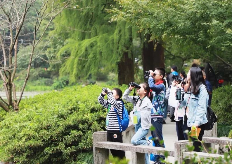 教育资讯杭州市第十届小学生观鸟赛圆满结束