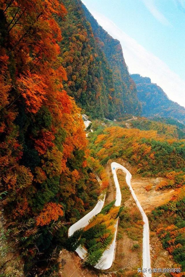 光雾山是 亚洲最长的天然红地毯,拥有着680平方公里的红叶景观.