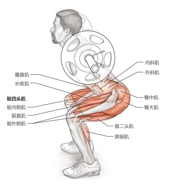 ②双手触摸双侧股四头肌下段,左侧皮温显著比右侧高