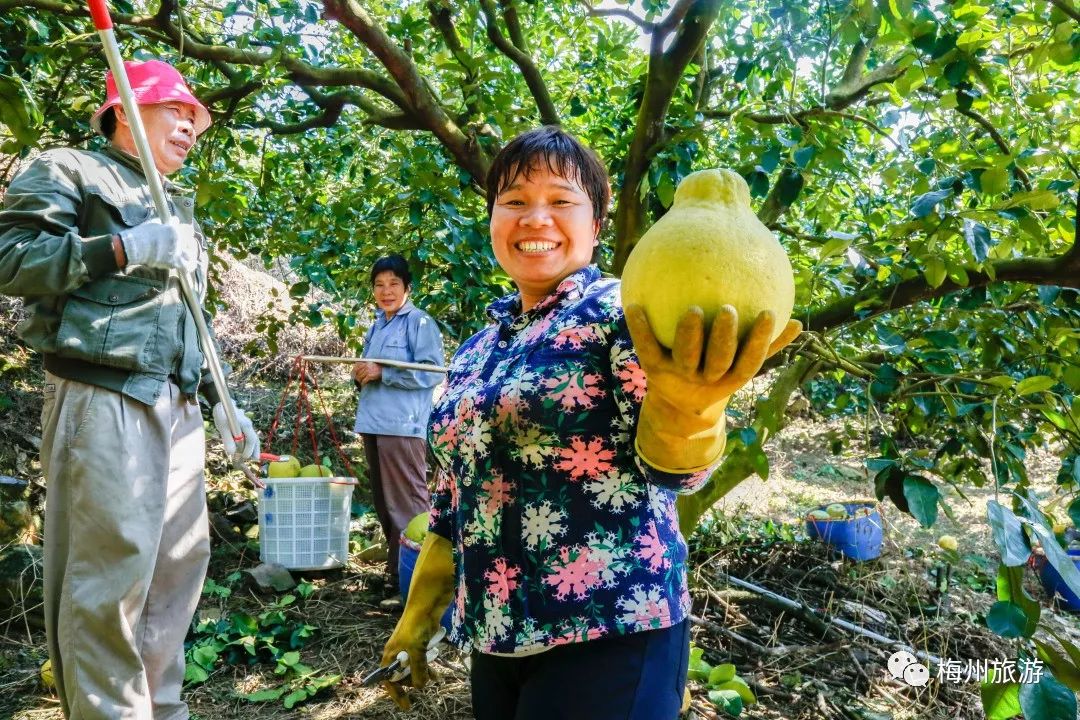 客家味道:梅州人的乡愁