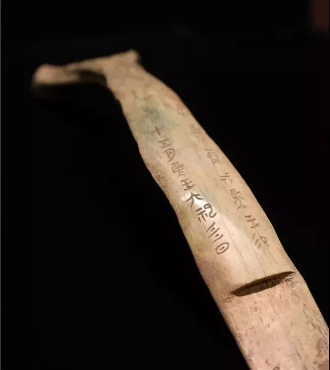 “甲骨之王”亮相国博！三大看点带您领略甲骨文文化展_殷墟
