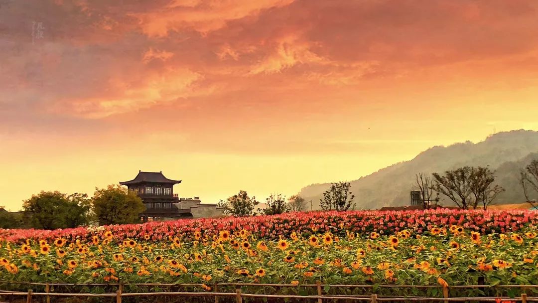 嵊州越剧小镇古戏楼看越剧逛唯美花海含特色中餐传承戏剧之美找寻诗意