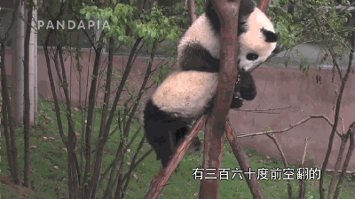 400_224gif 动态图 动图