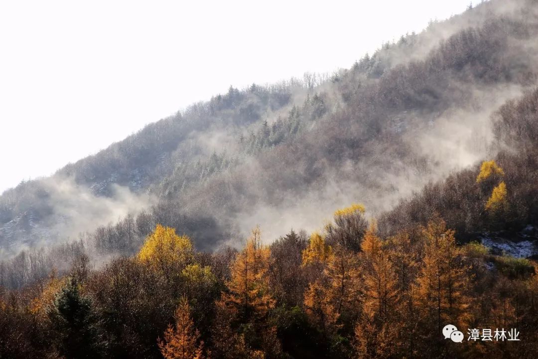 漳县分水岭的金秋邂逅2019年的第一场雪