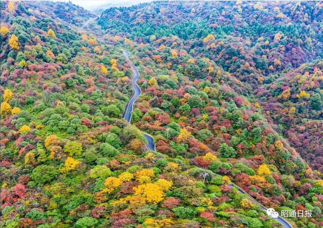 玩嗨昭通彝良小草坝组图精彩直播现场附15天活动