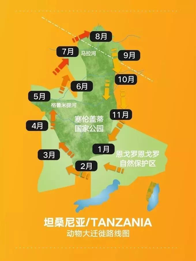 这个终极问题有答案了!_塞伦盖蒂