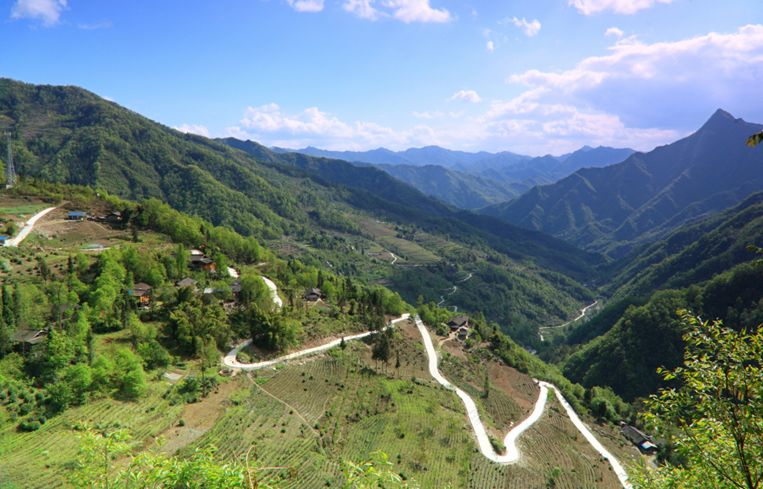 这里土质肥沃,出产丰饶,被誉为豆叩镇的粮仓,森林资源丰富,植被良好