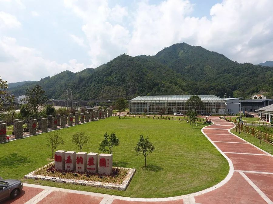 桂香十里乡村振兴看永嘉