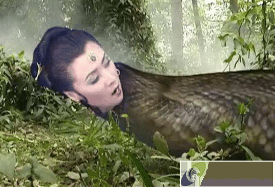 西游记中的那条大蟒蛇到底是不是道具当你看了现场花絮就明白了