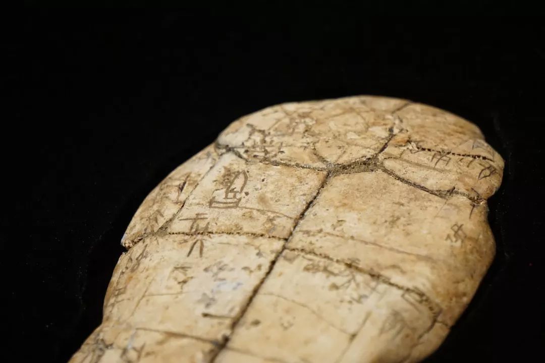 甲骨文发现120周年扑朔神秘的殷商世界