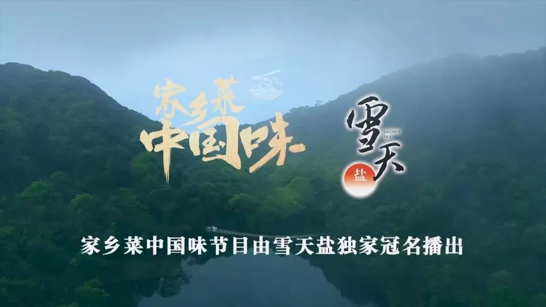 品牌大事记雪天盐荣获中国国际广告节2019广告主奖年度整合营销金奖