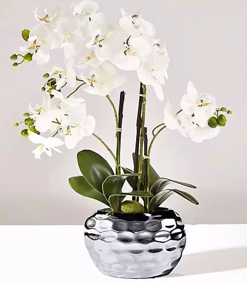 能够轻松驾驭明暗背景色的花艺作品 疏疏落落 浓淡相宜 简单的布置或