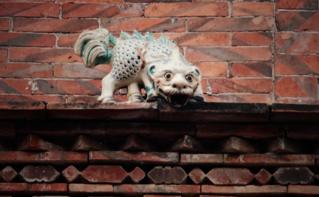 闽南最后的兽在五店市你一定见过ta