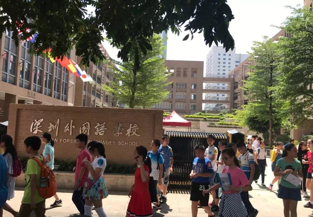 考上深圳外国语学校的牛娃都来自哪里?揭秘其近5年生源!