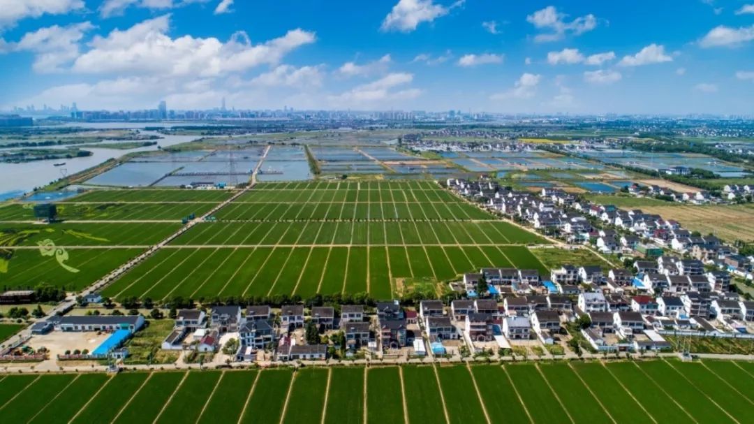 厉害吴江这3村庄获评苏州市特色田园乡村