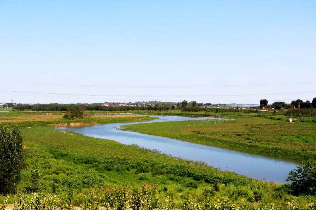 峰峰老道泉湿地公园图片