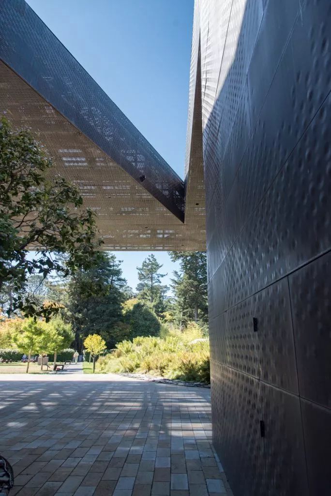 赫尔佐格德梅隆作品美国旧金山迪扬美术馆无阶级化的艺术呈现