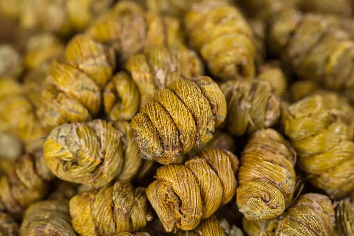 被大家盛传的紫阳石斛应该怎么吃