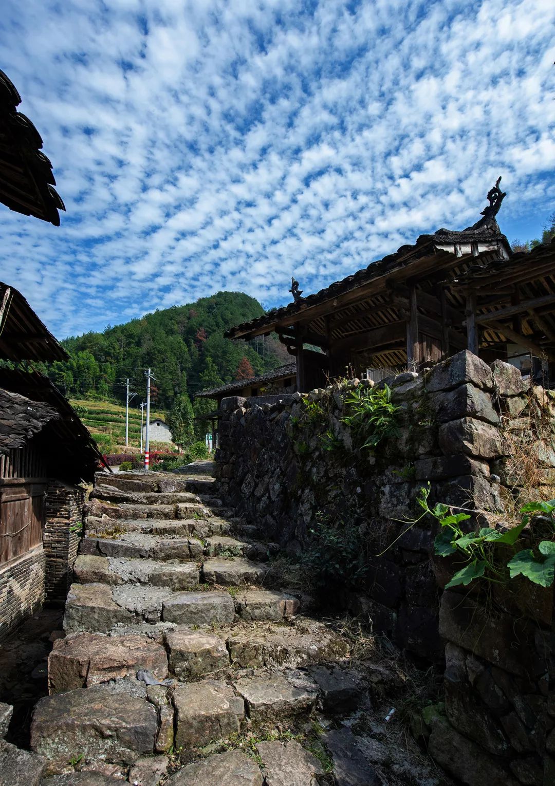 我县"两最"村评选工作全面铺开,董源村在第一轮评比中被列入仕阳镇最