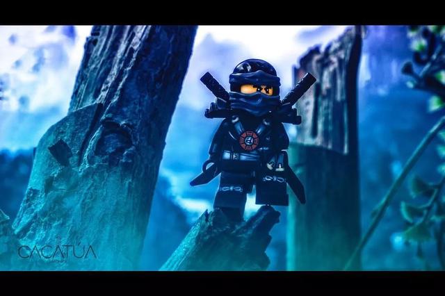 lego乐高人仔美图欣赏拍的意境也太好了吧