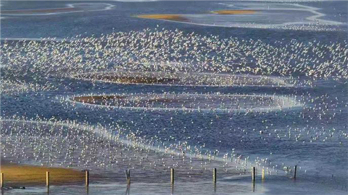 “游客眼中的秦皇岛”——大型新媒体宣传活动