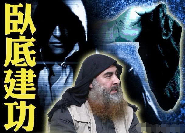 巴格达迪为何被精准猎杀?一条内裤泄露天机 卧底获2500万奖赏