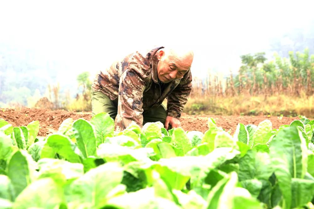 余荣华永葆军人本色勤俭持家致富